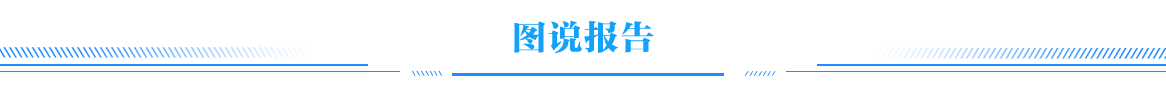 圖說報告